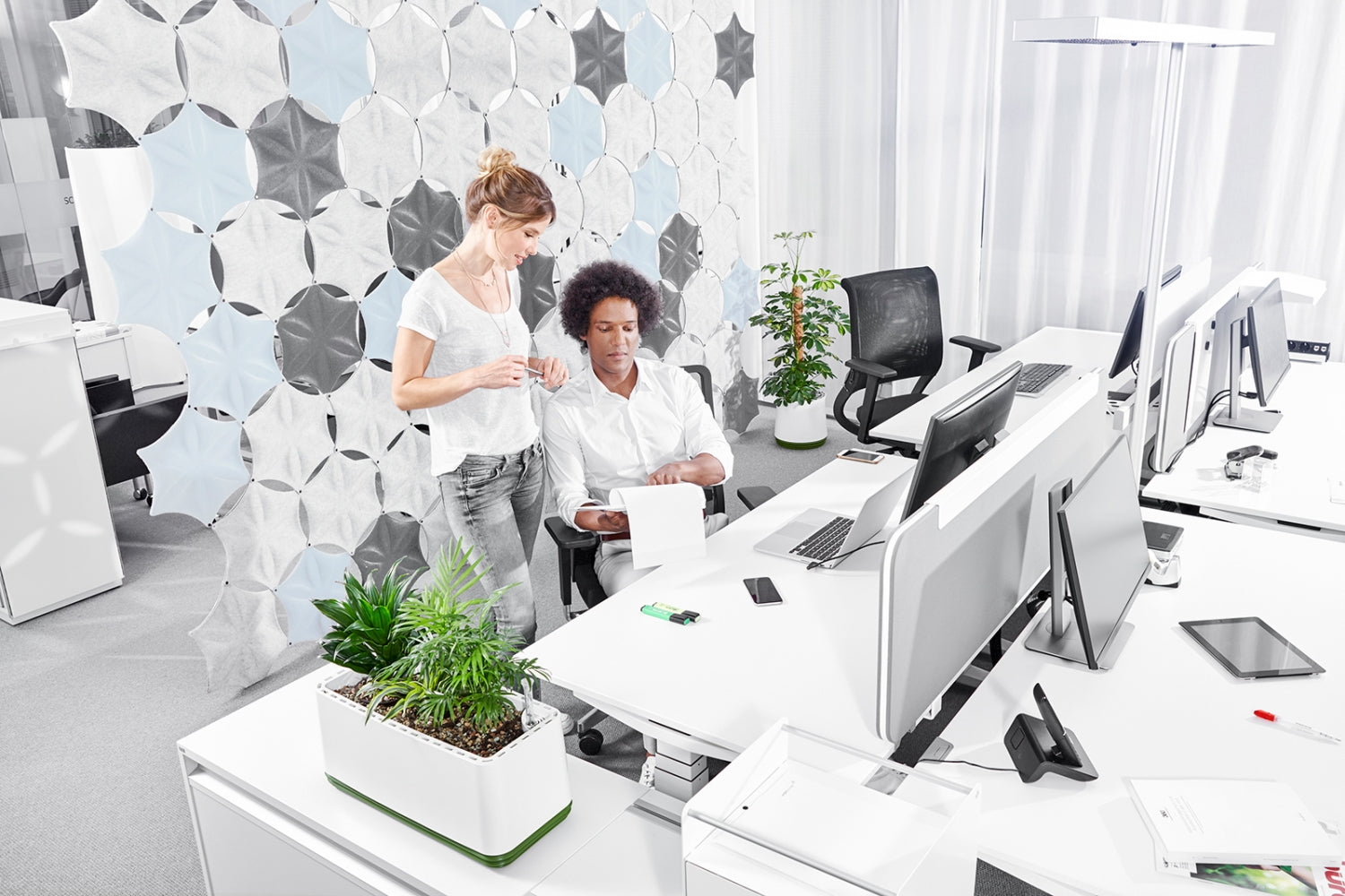 Warum grüne Büros produktiver sind