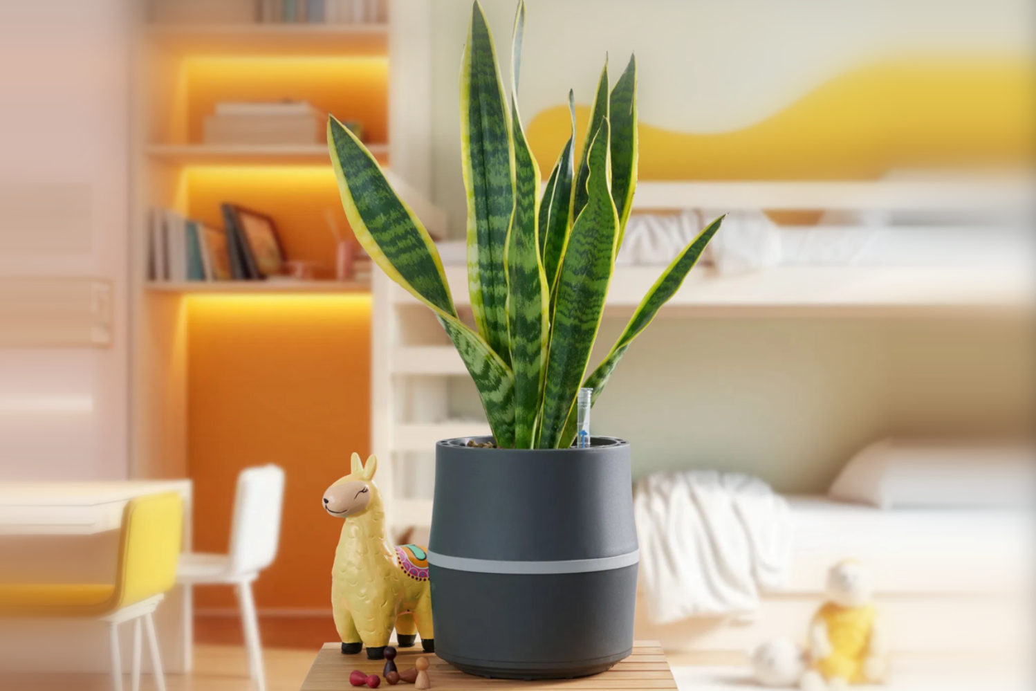 Warum AIRY „so teuer“ ist