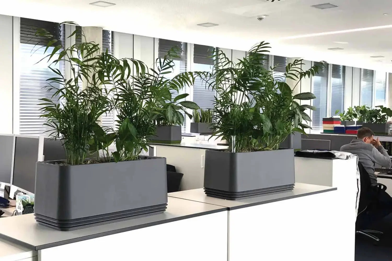 Gesammelte Forschungsergebnisse