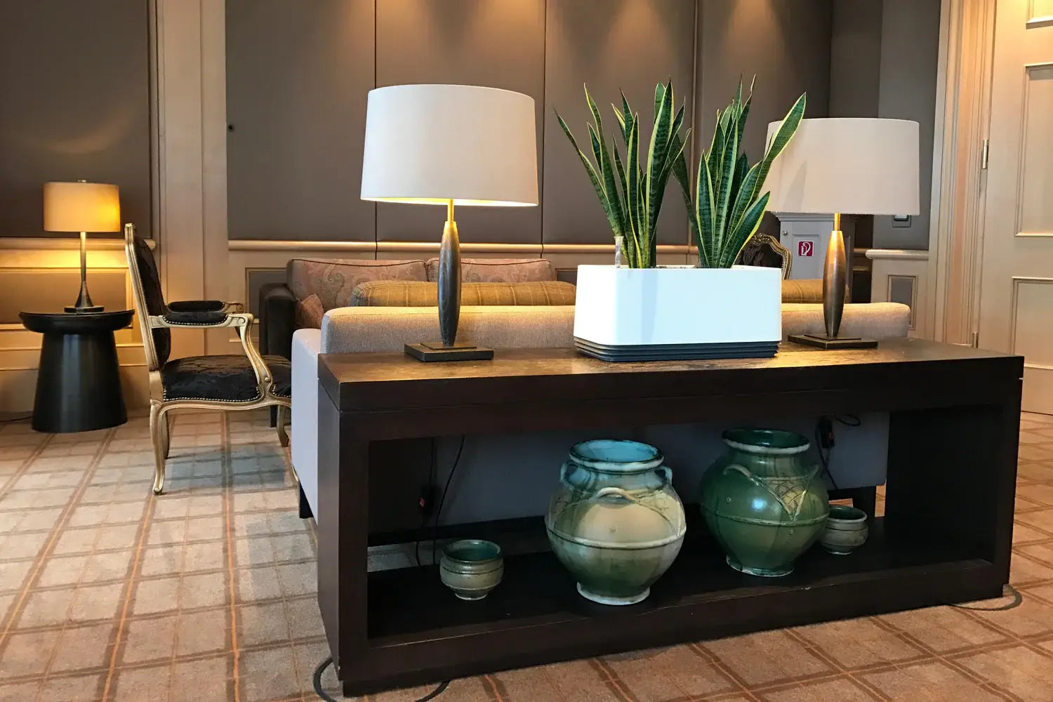 Bogenhanf (Sansevieria)