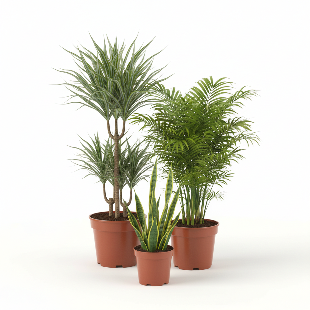 Die besten Pflanzen Partner