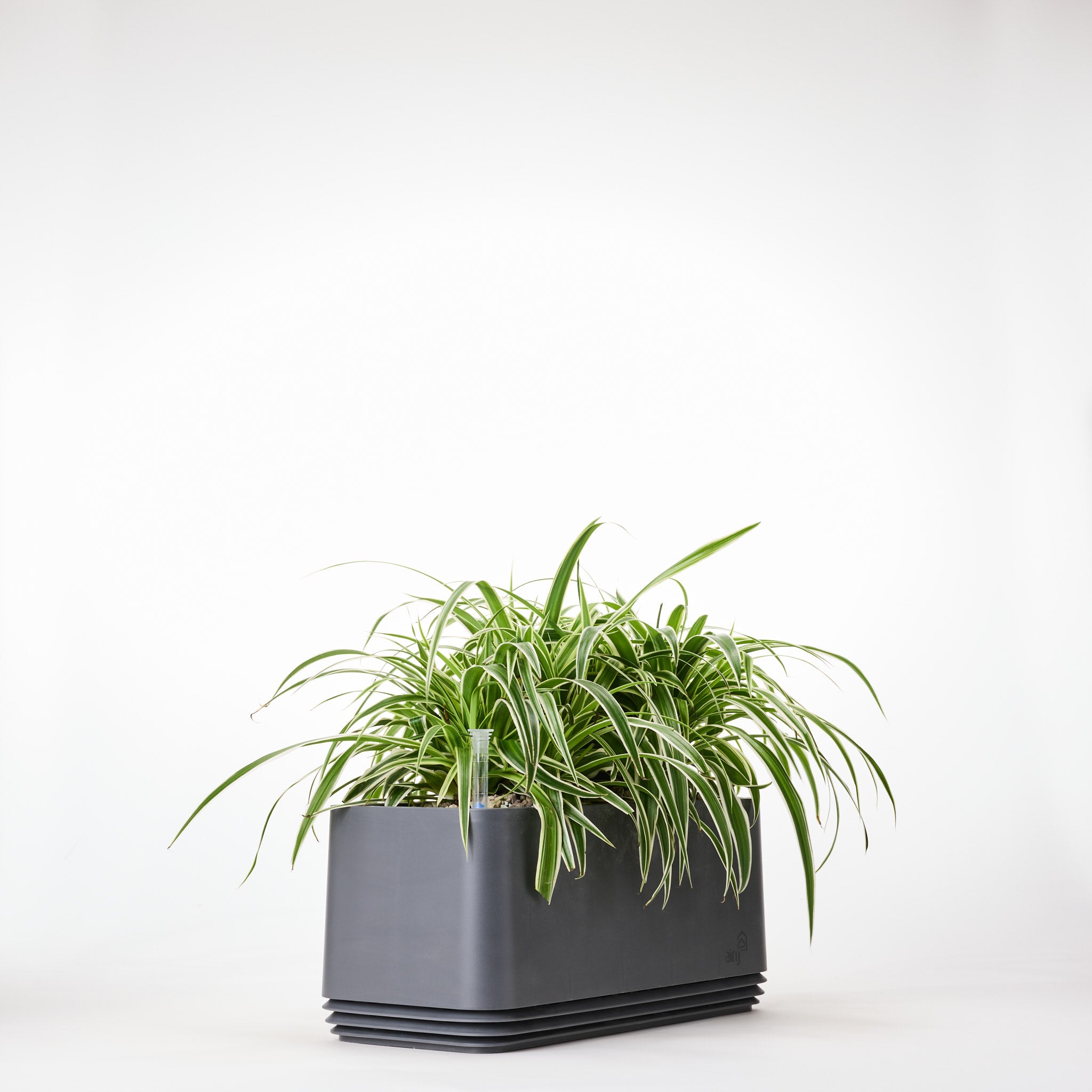 AIRY System L Grünlilie