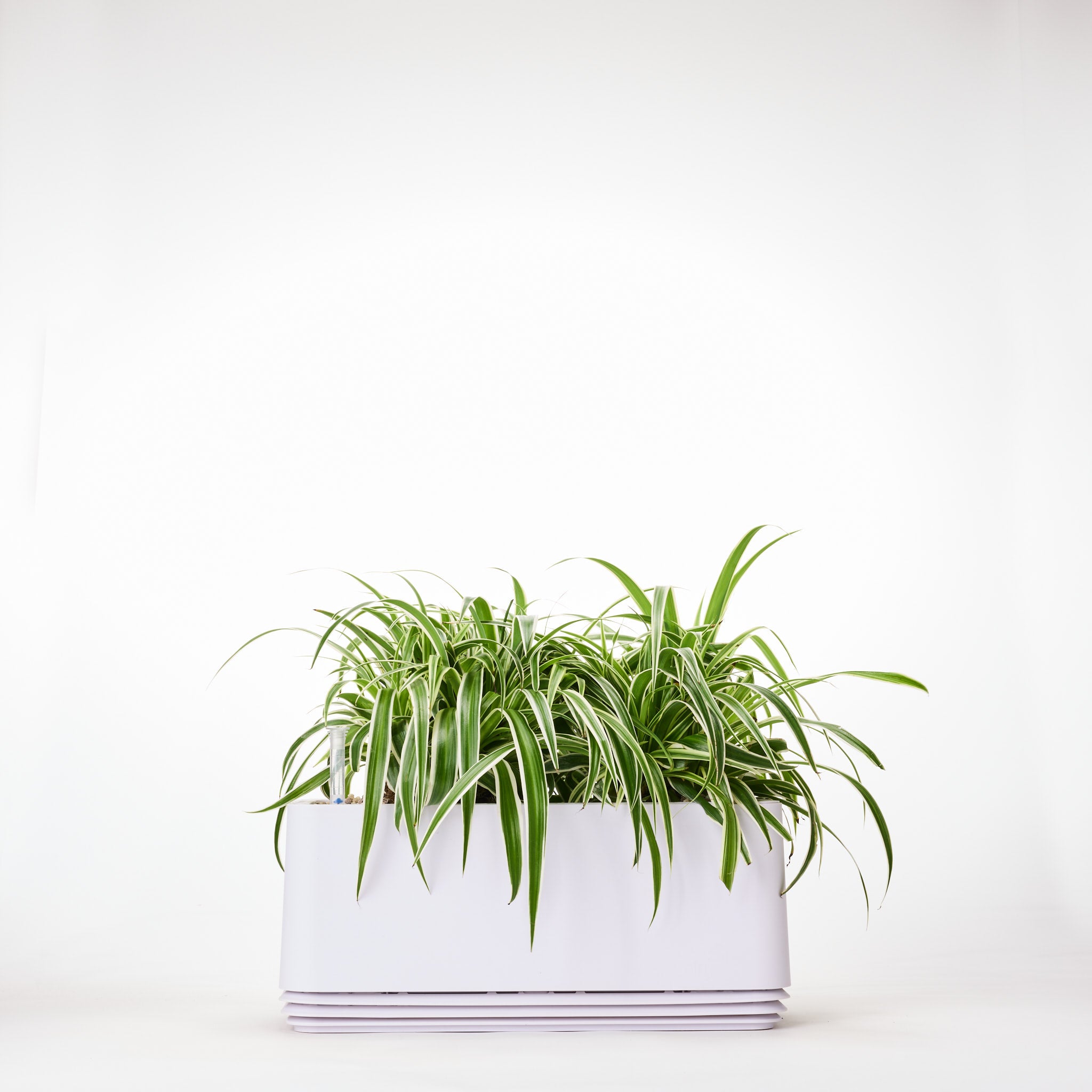 AIRY System L Grünlilie