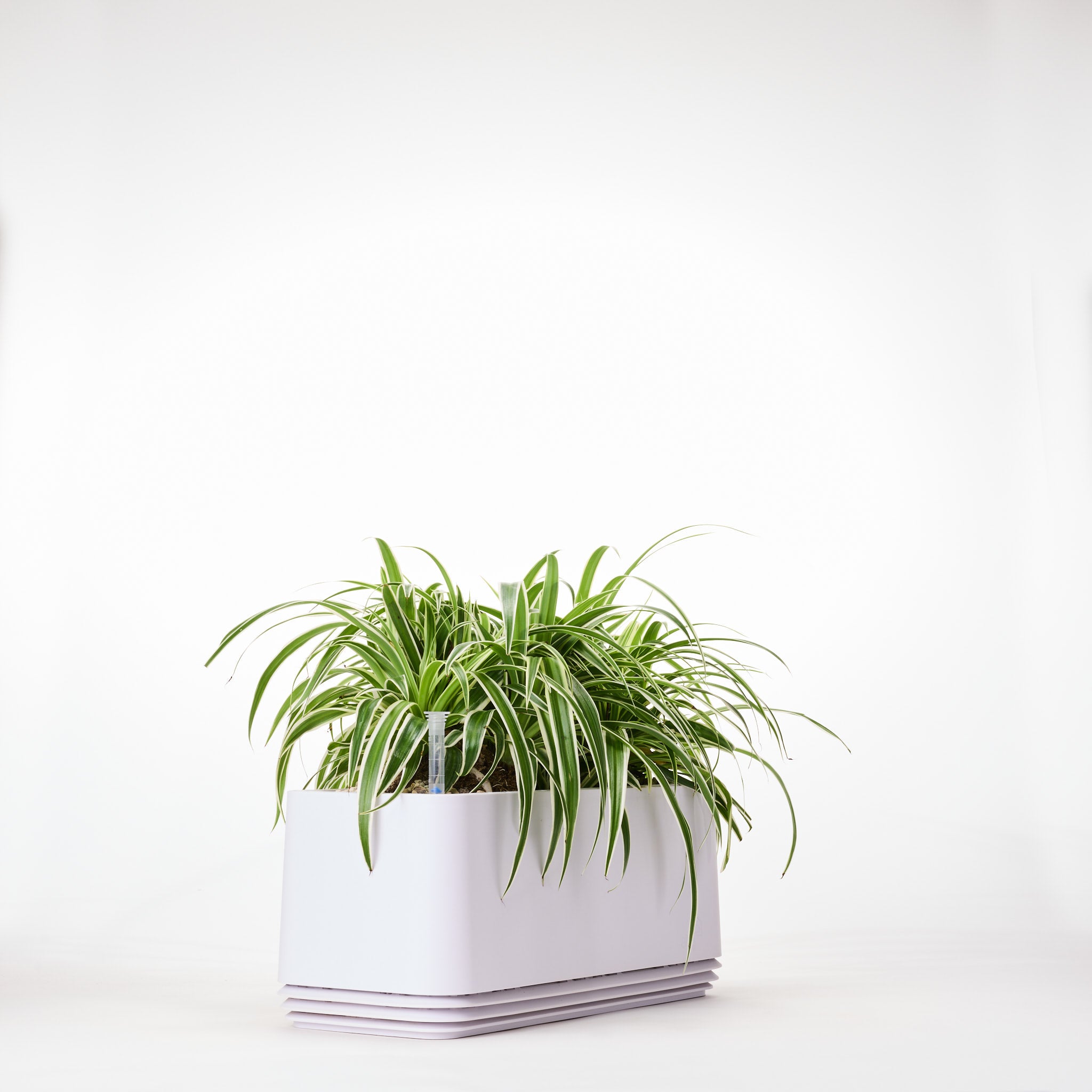 AIRY System L Grünlilie