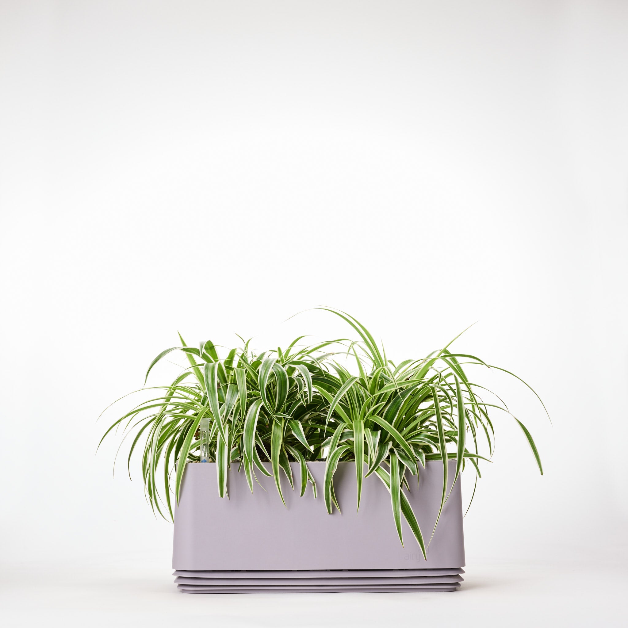 AIRY System L Grünlilie