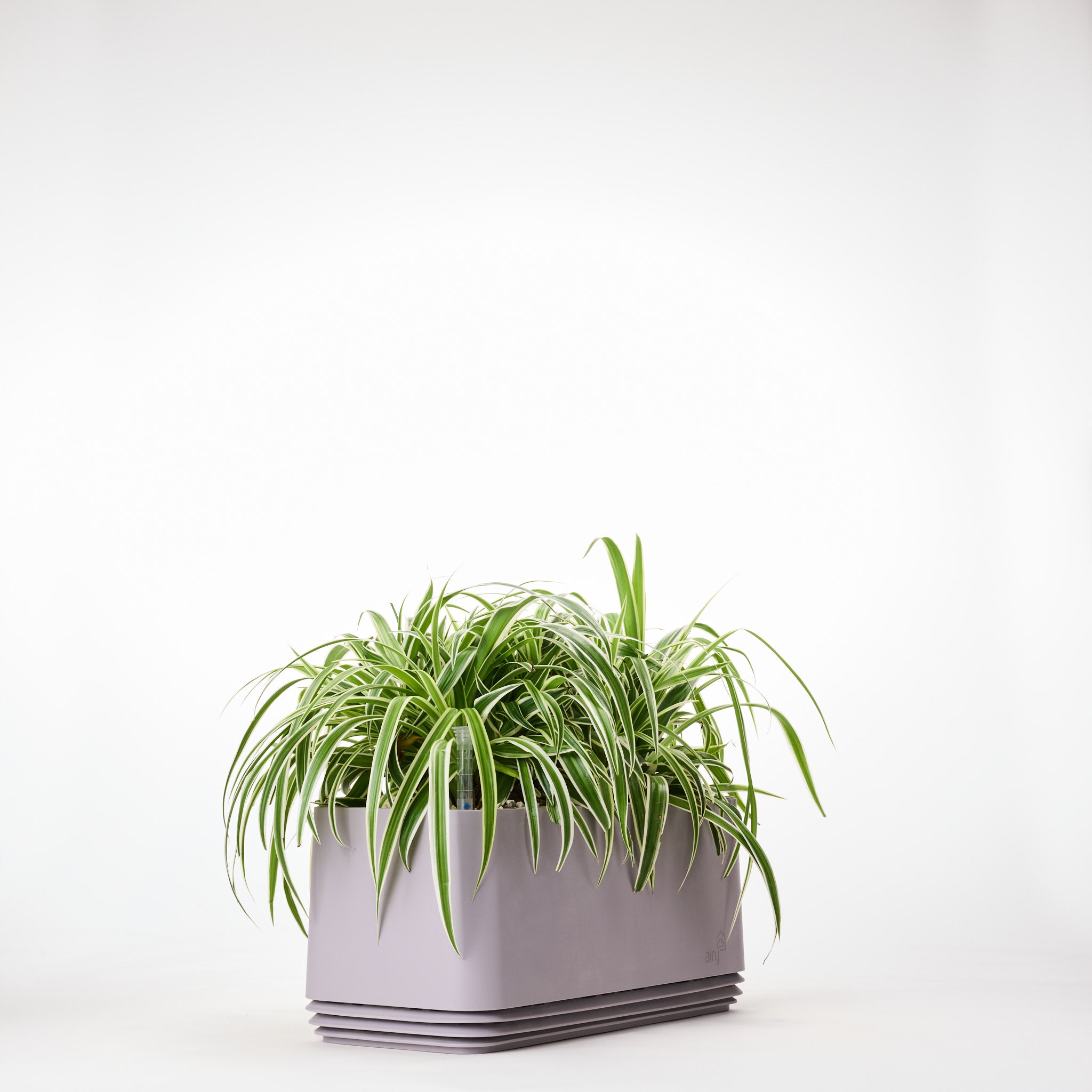 AIRY System L Grünlilie