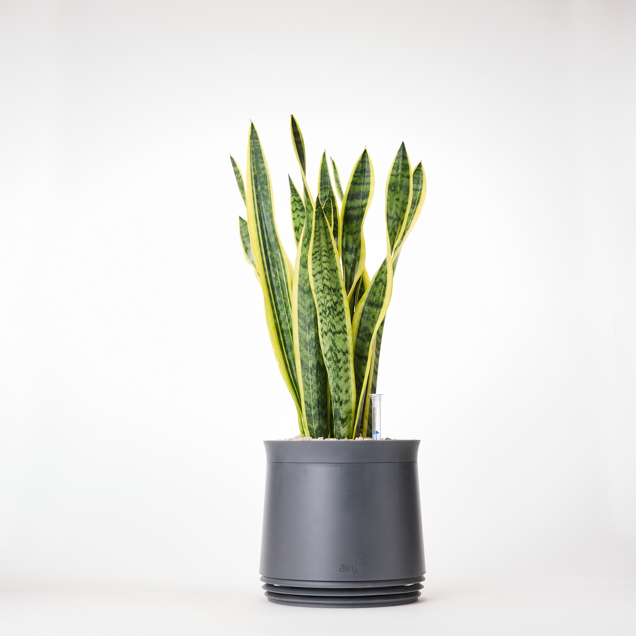 airy plant pot AIRY System M with snake plant – air purifier for indoor spaces