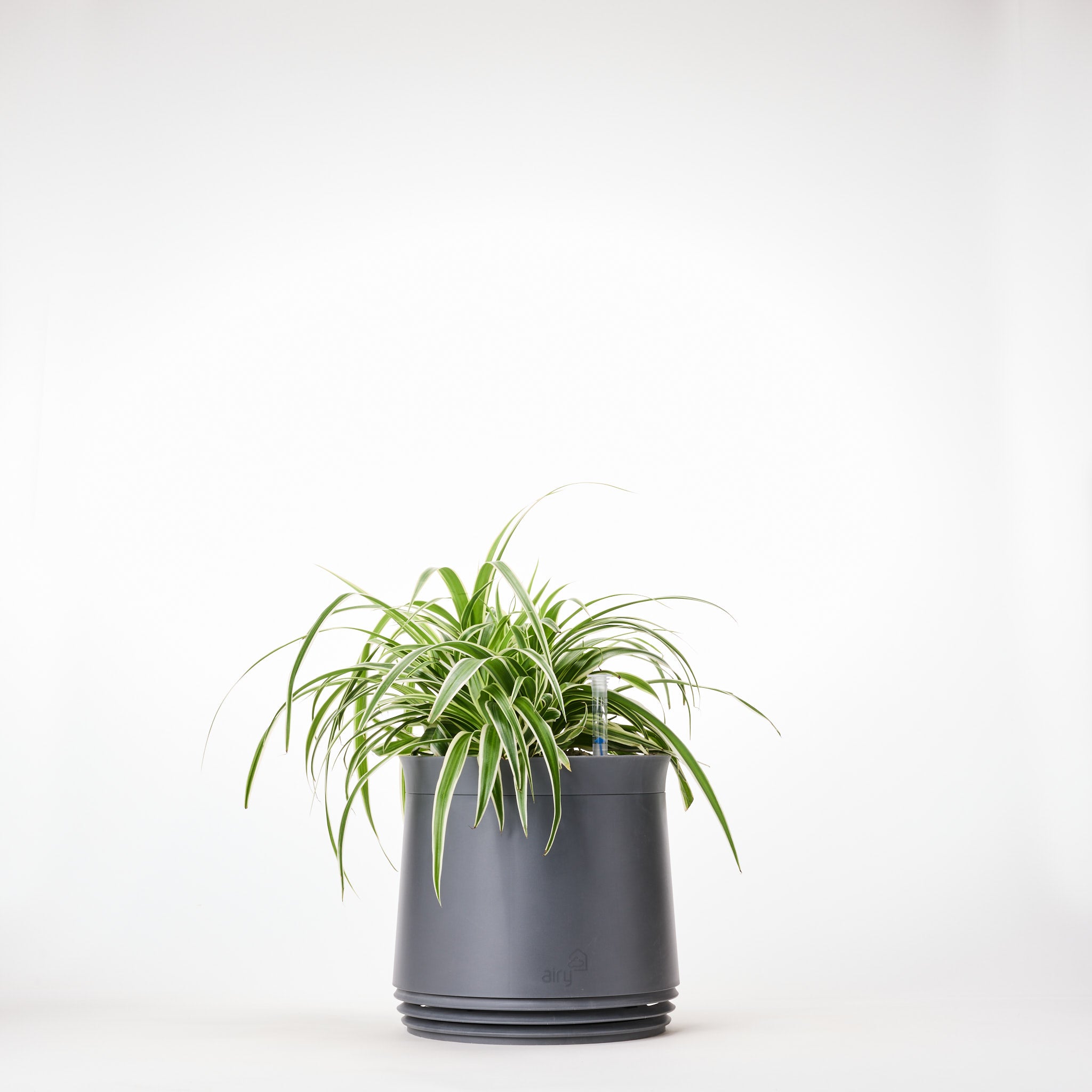 AIRY System M Grünlilie