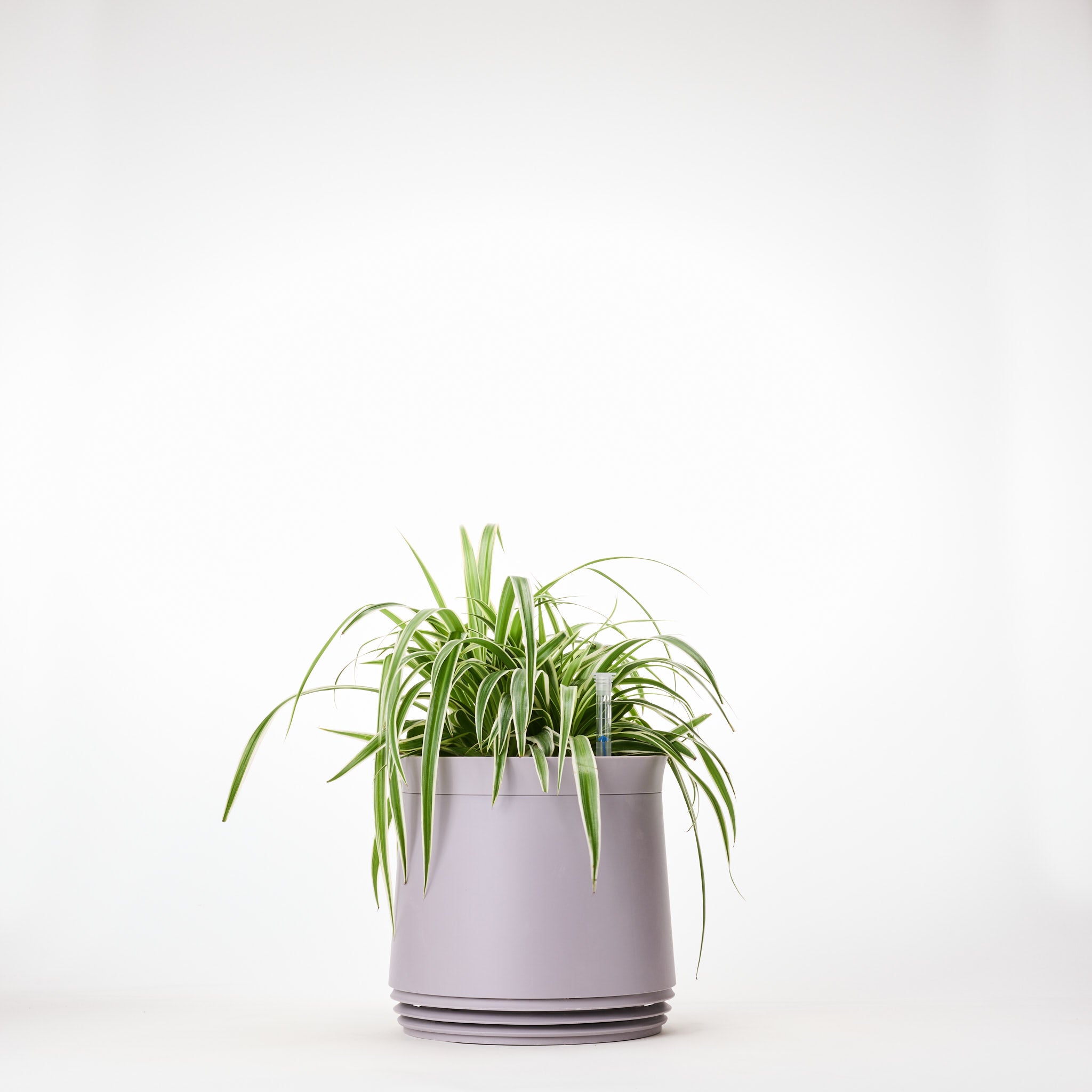 AIRY System M Grünlilie