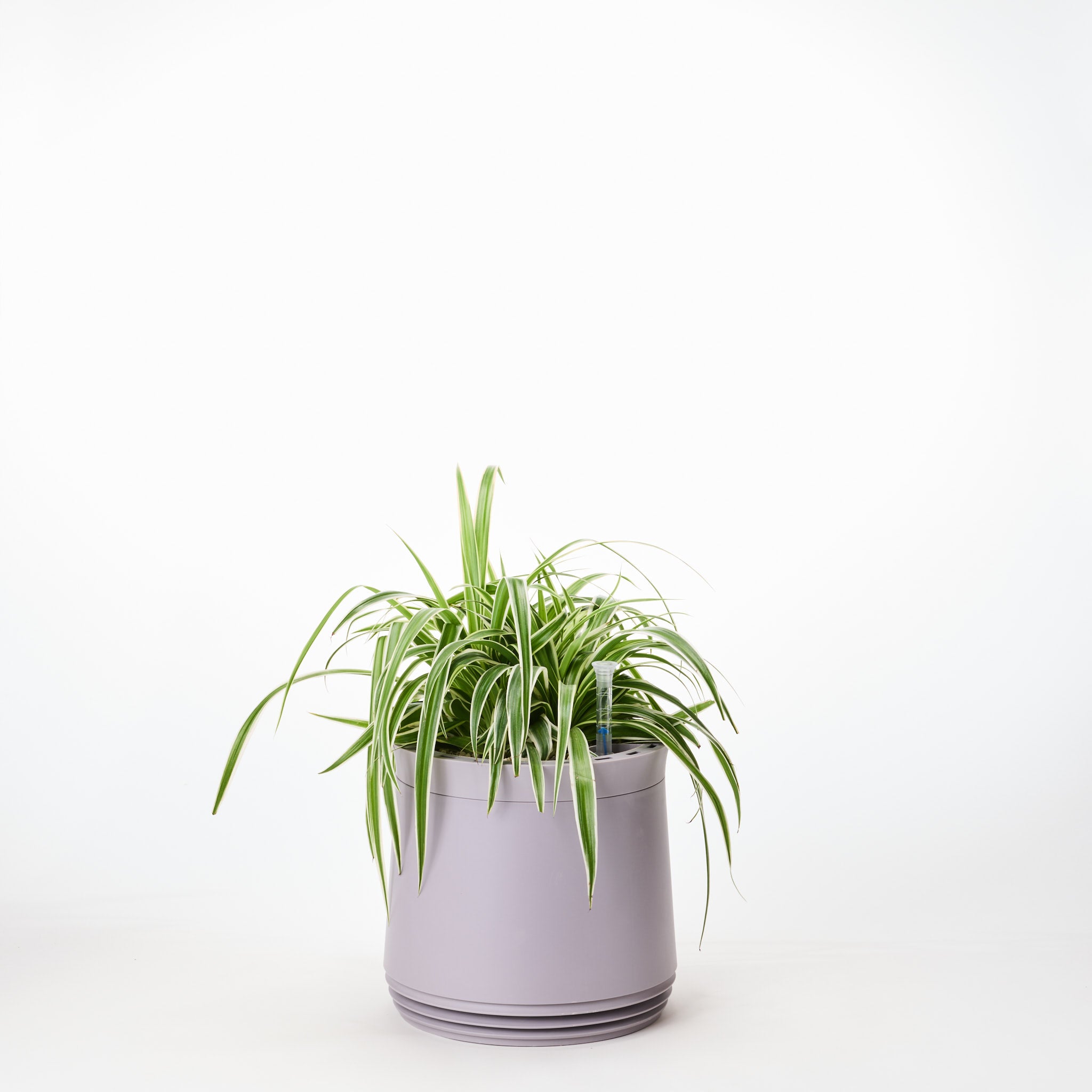 AIRY System M Grünlilie