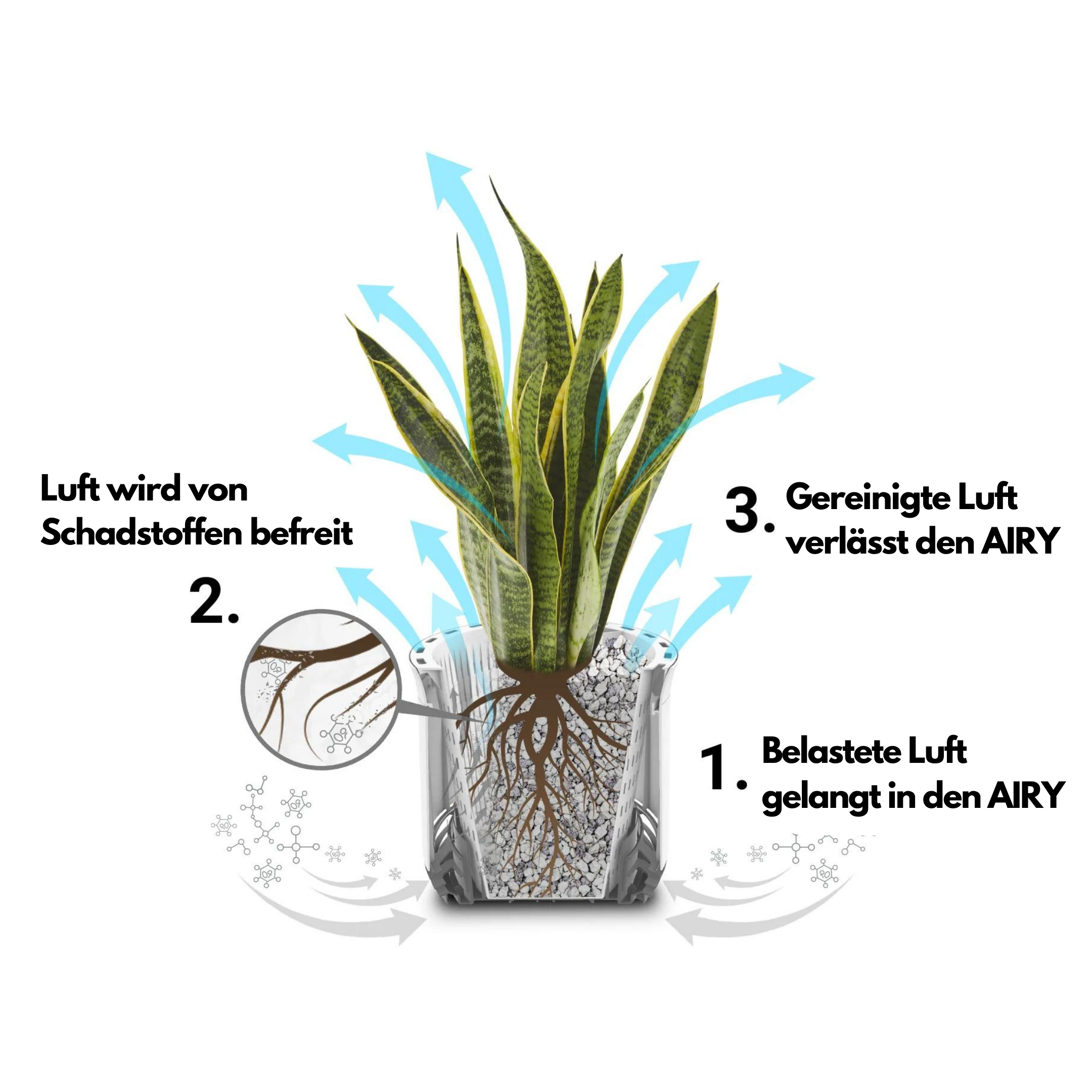 AIRY System M Grünlilie