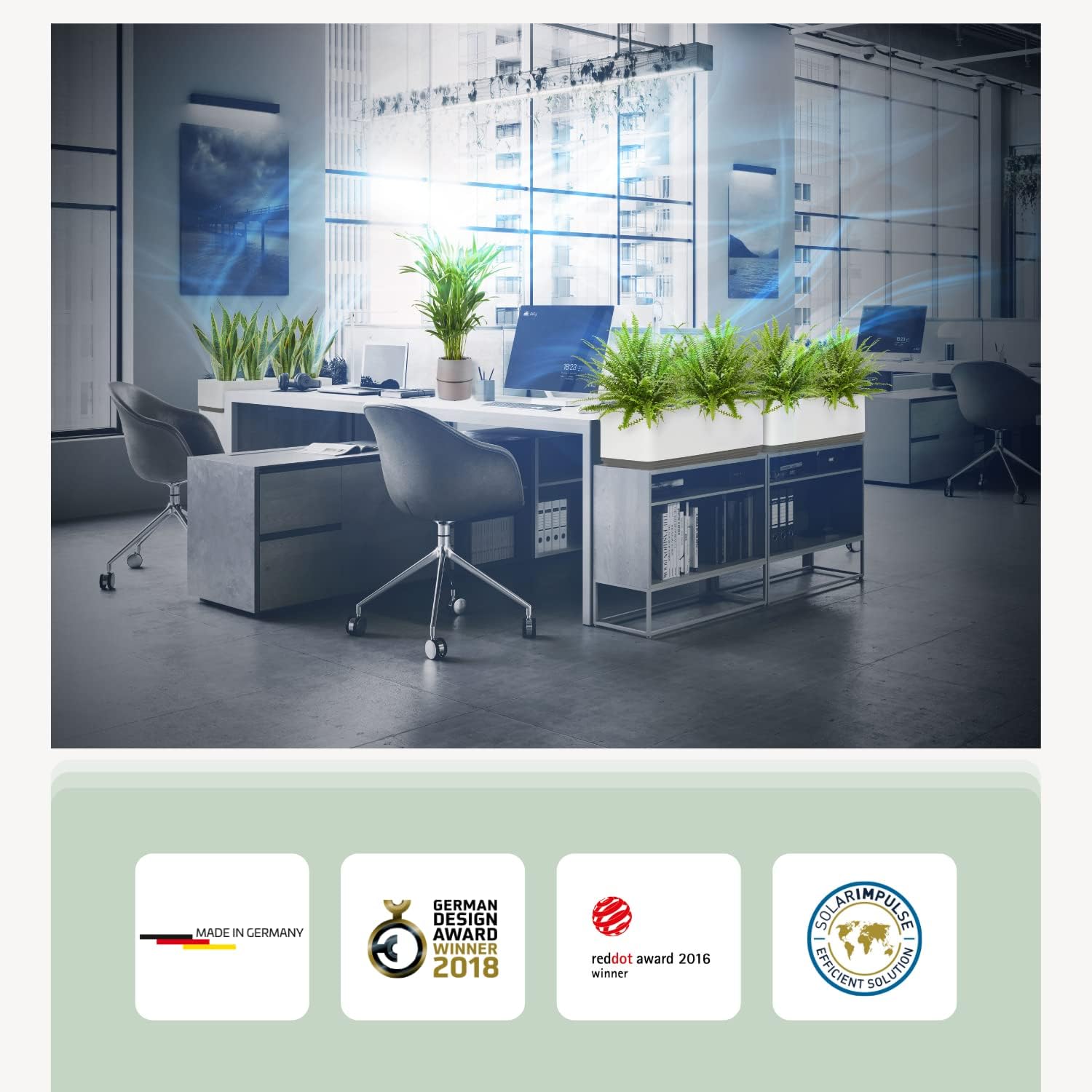 AIRY System L Goldfruchtpalme