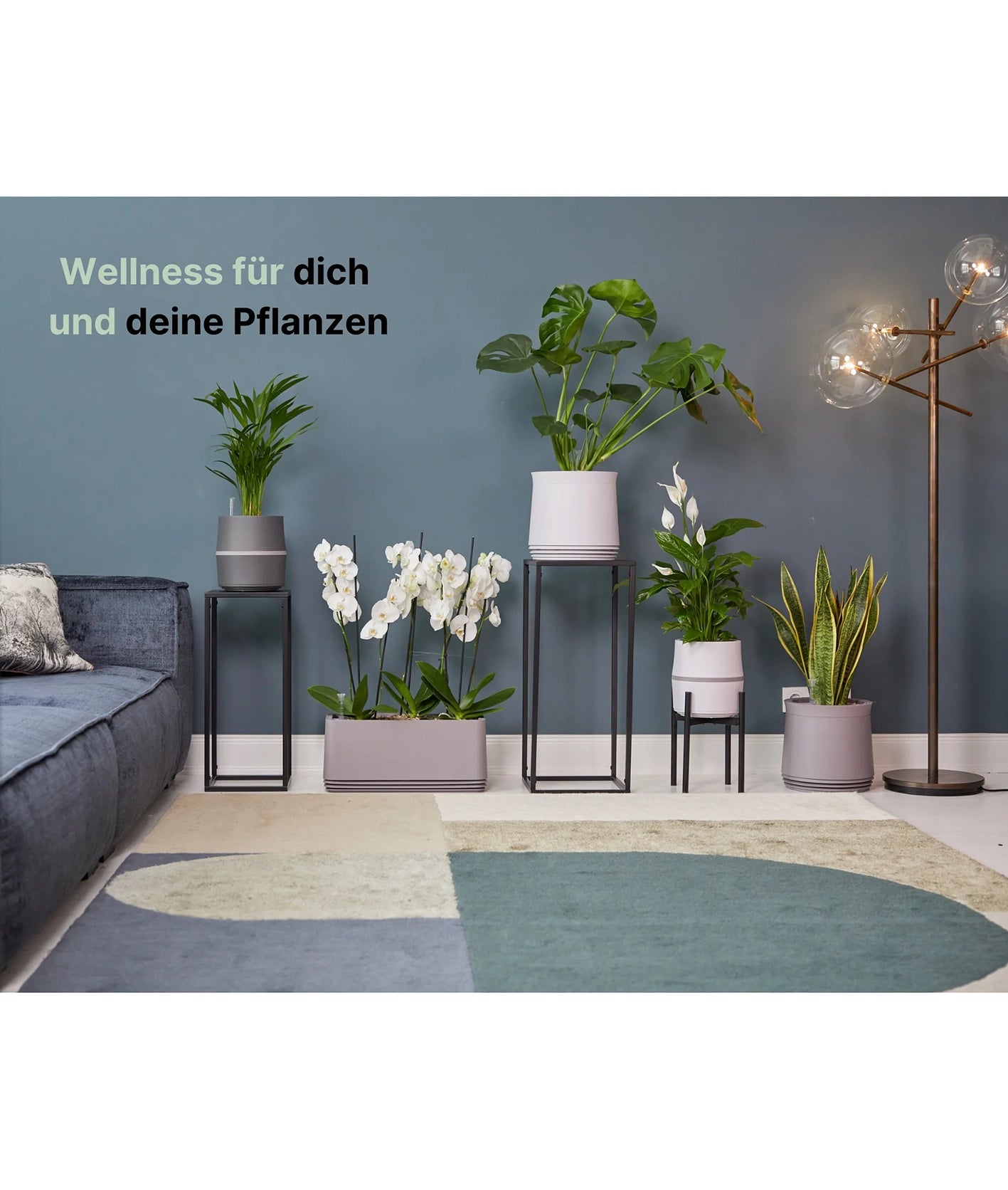 AIRY System M Orchidee