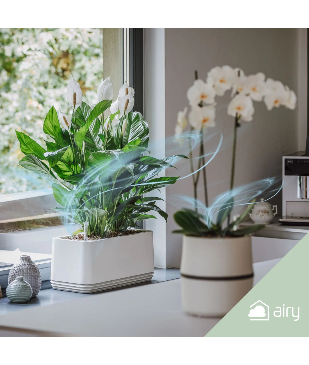 AIRY System M Orchidee