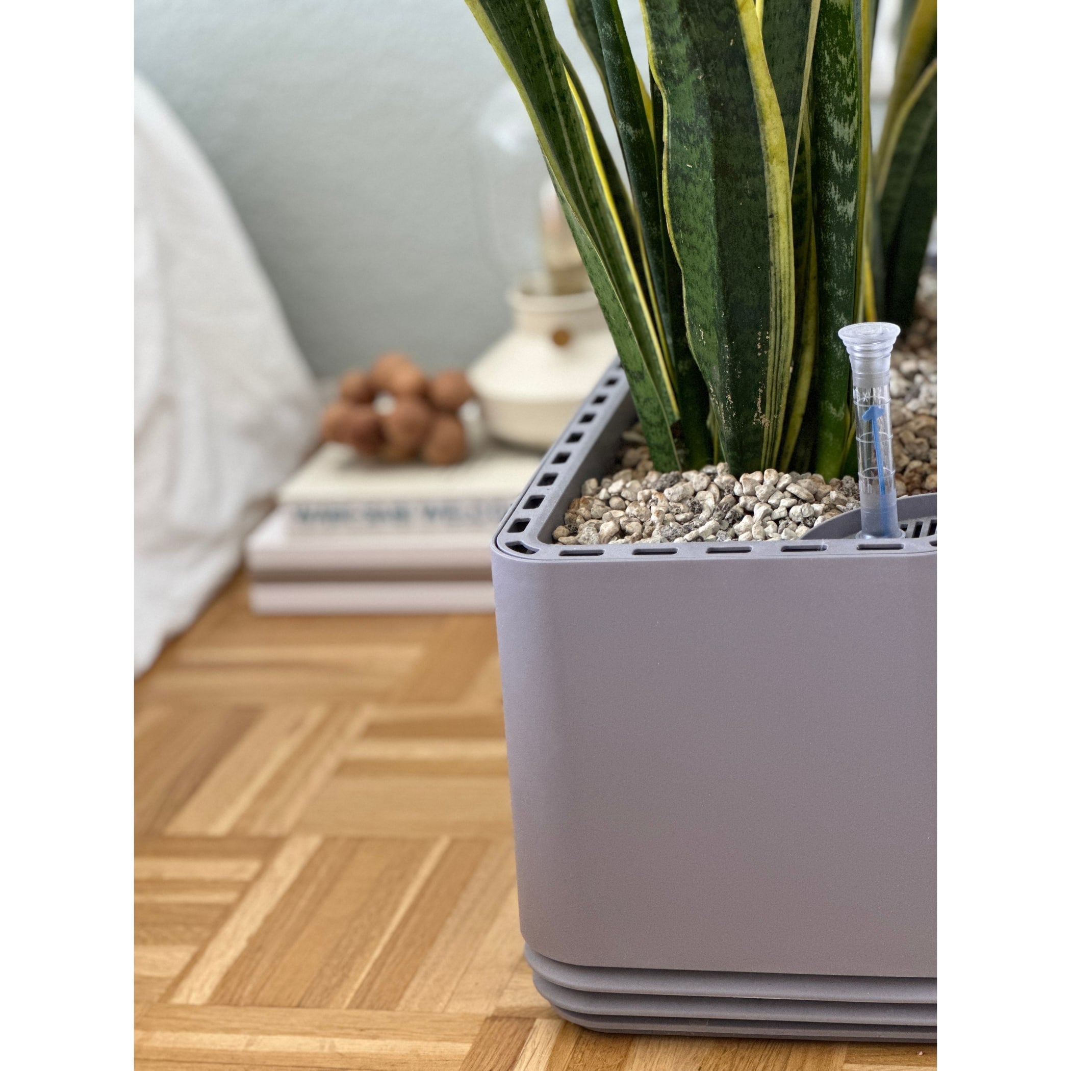 AIRY System L Drachenbaum