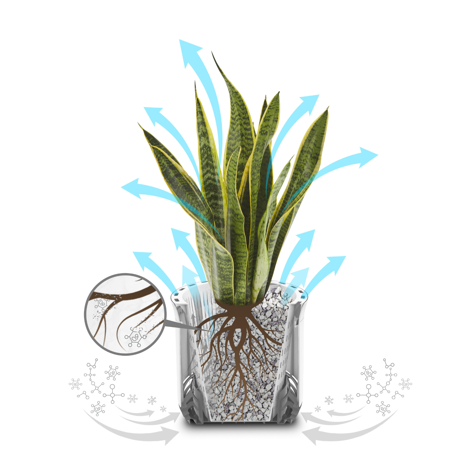 AIRY M including substrate (white)