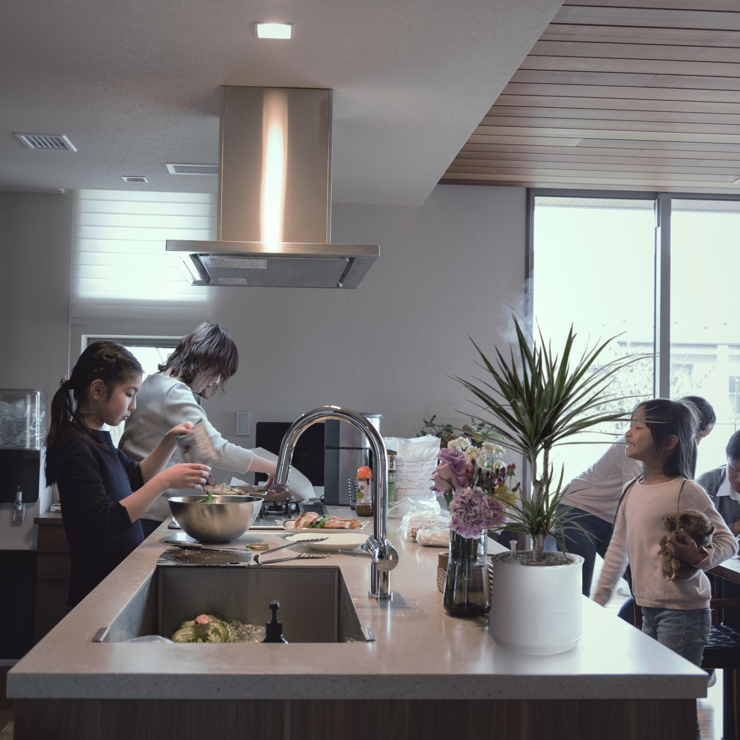 Drachenbaum Dracaena luftreinigende Pflanze