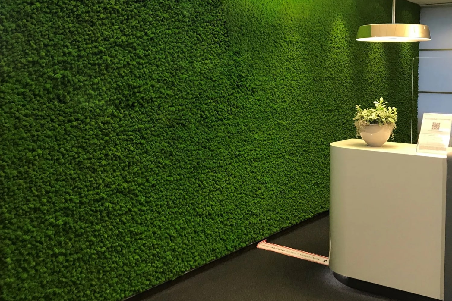 Mooswand. Nur ein Trend oder wirklich hilfreich?