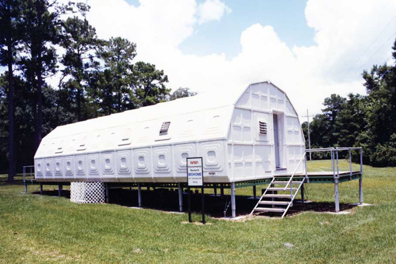 Die NASA Clean Air Study. Was ist wirklich dran?