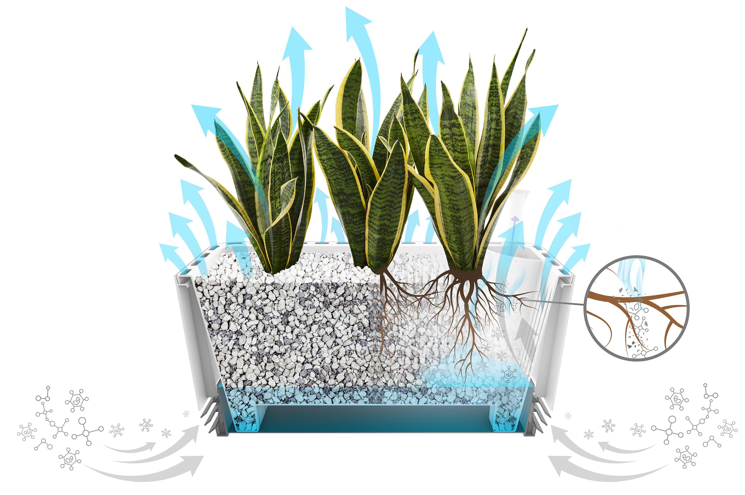 Wie funktioniert der Kamineffekt beim AIRY?