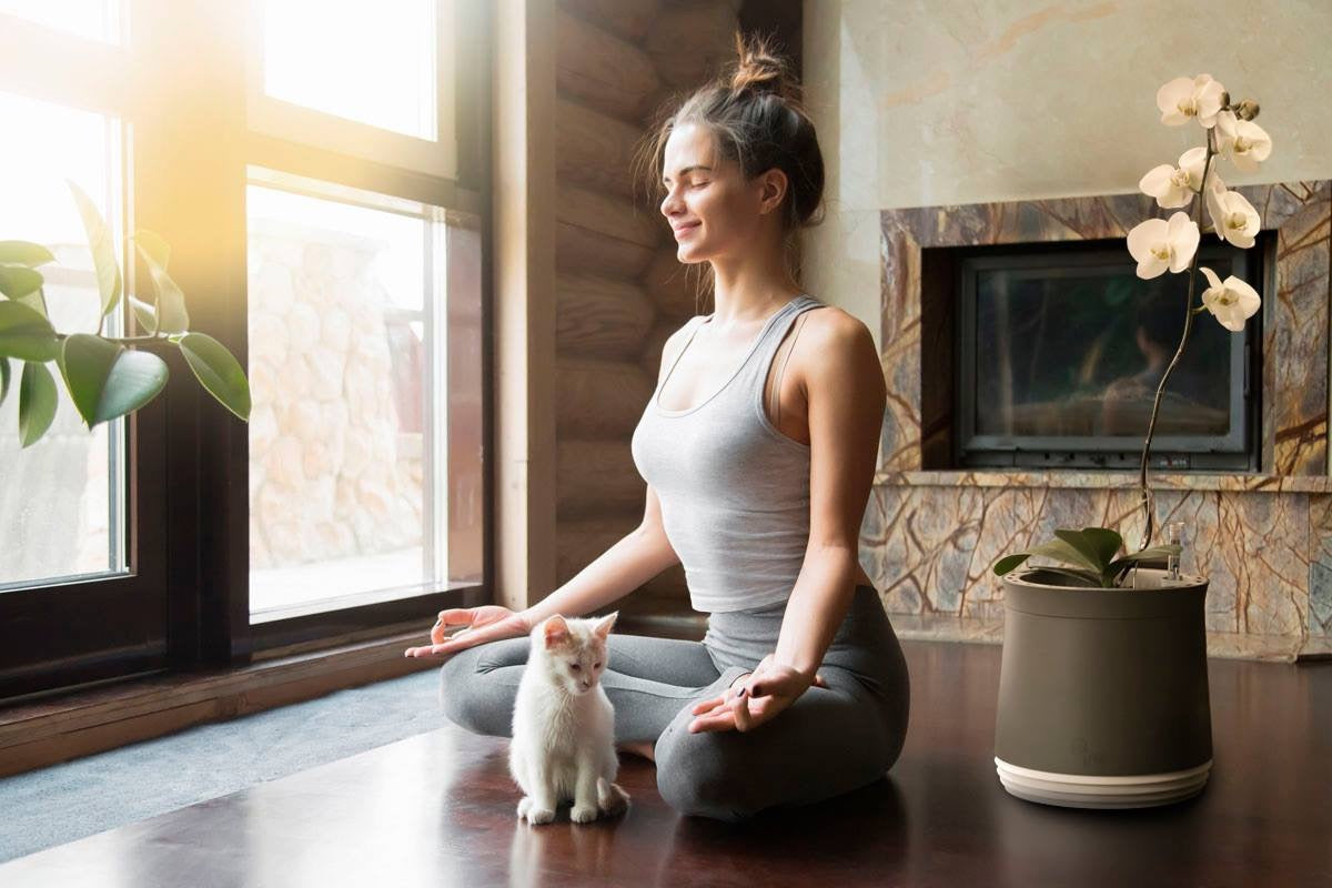 Was atme ich eigentlich ein?