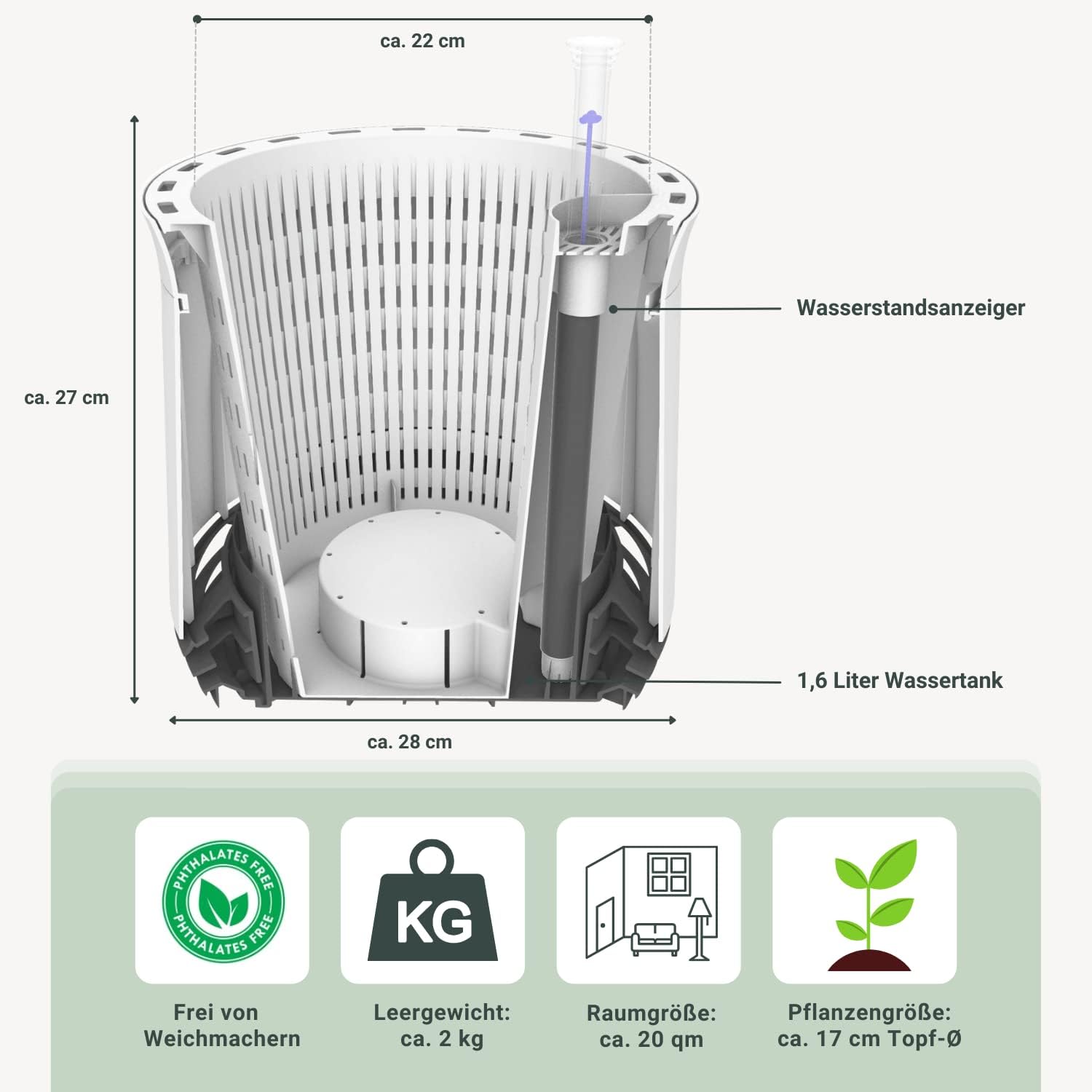 AIRY System M Drachenbaum