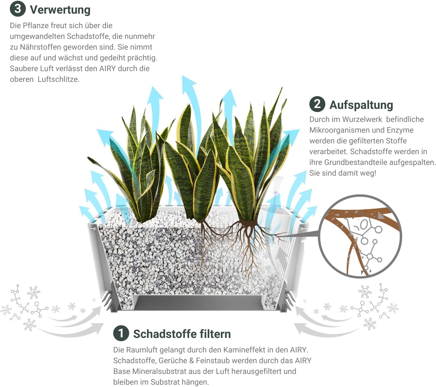 AIRY System L Grünlilie