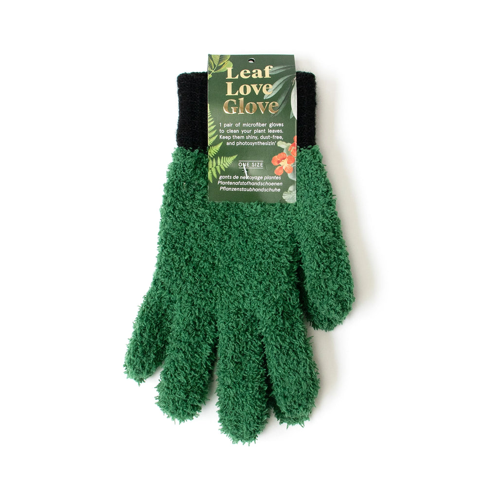handschuhe pflanzenschutz Handschuhe für die Pflege von Zimmerpflanzen