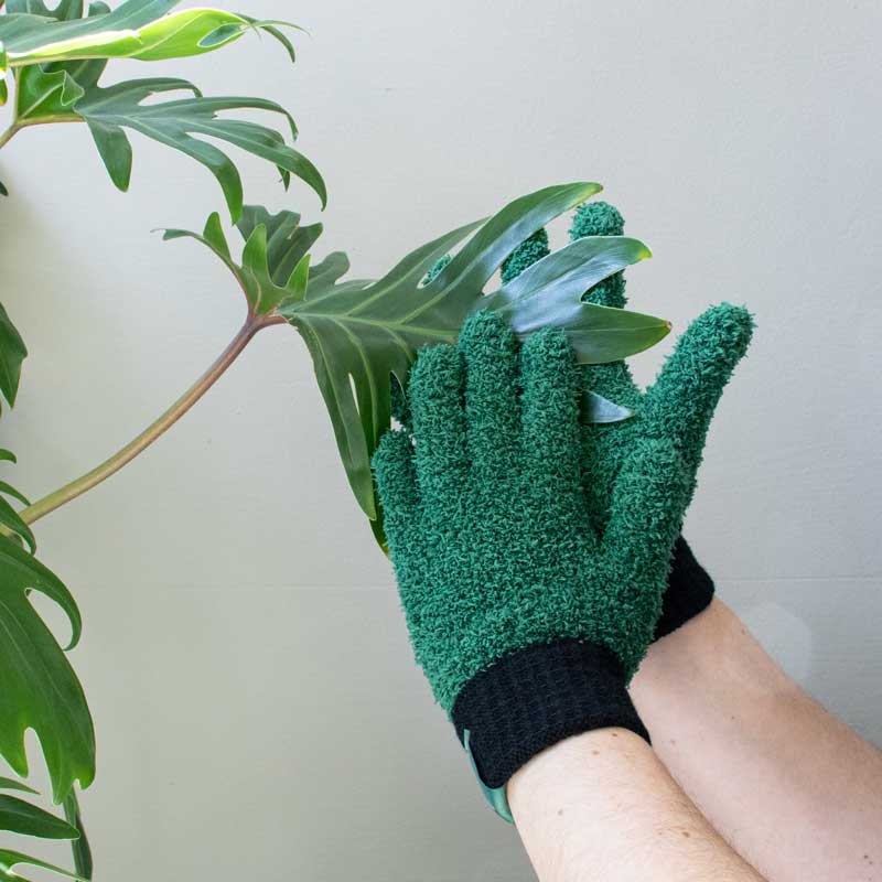 Leaf Love Handschuhe