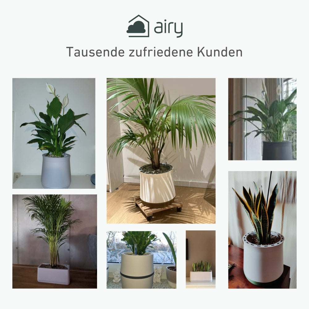 AIRY System L Grünlilie