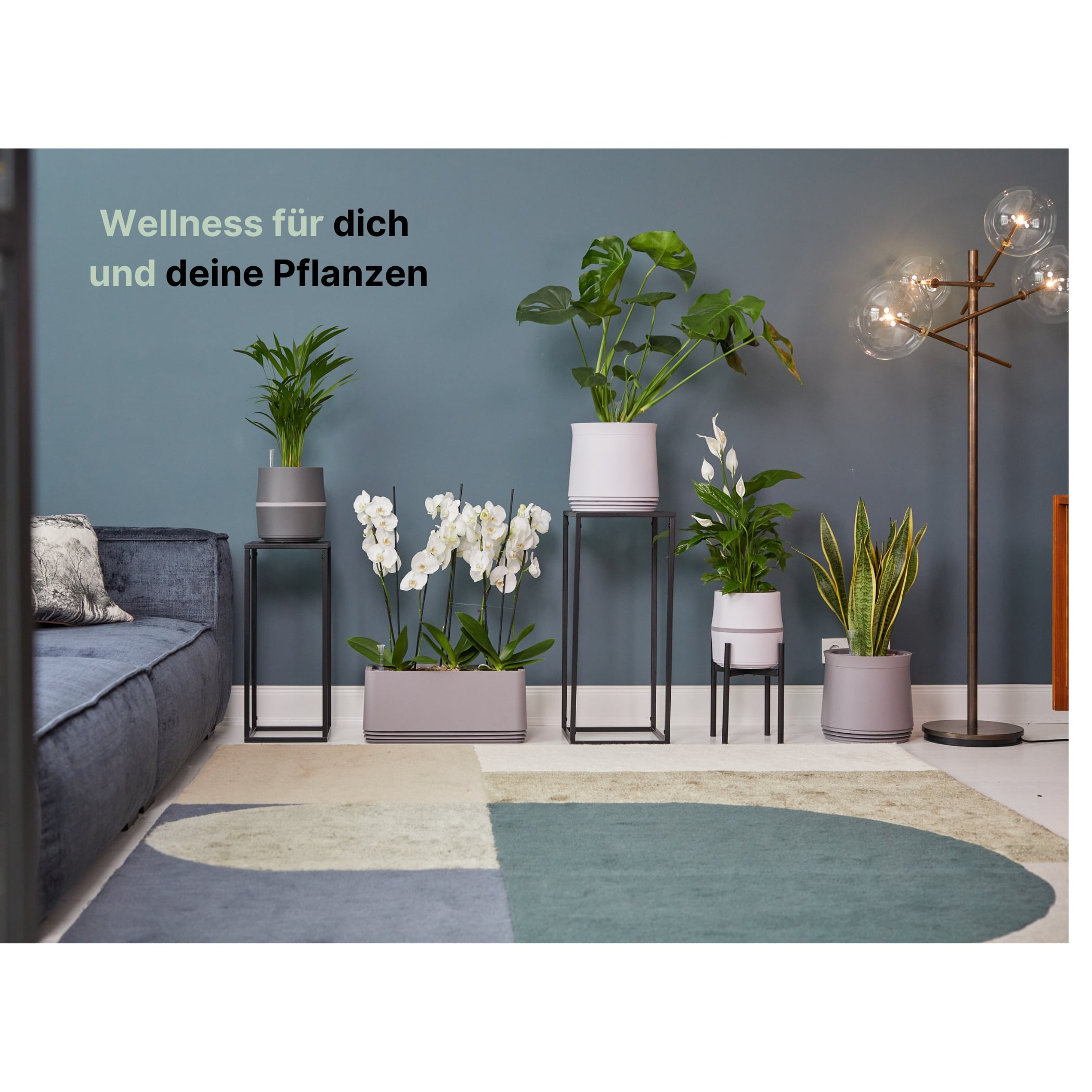 AIRY System L Grünlilie